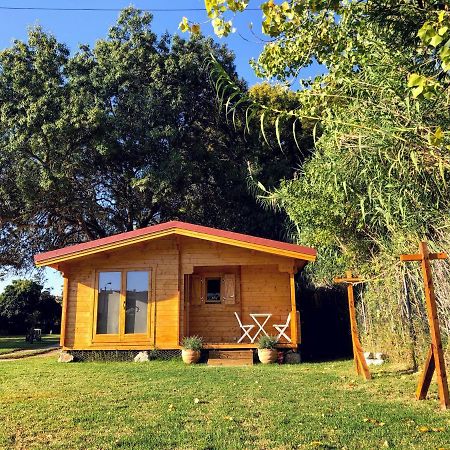 São Pedro do Estoril Woodhouse 빌라 외부 사진