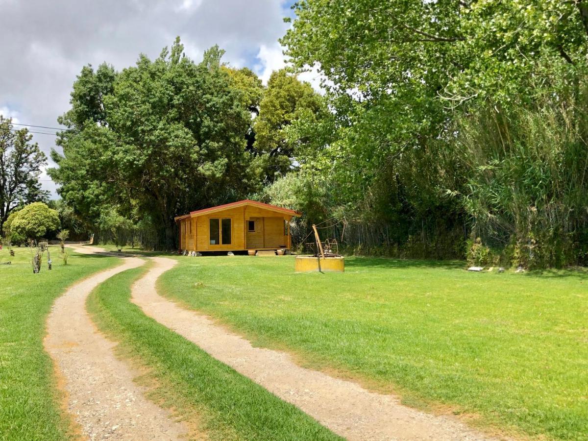 São Pedro do Estoril Woodhouse 빌라 외부 사진